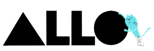 PROGRAM ALLO REMOTE visual data 7